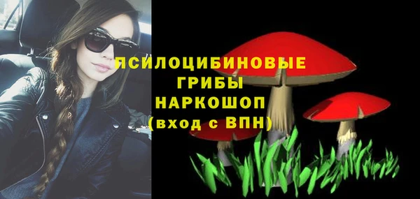 стафф Иннополис