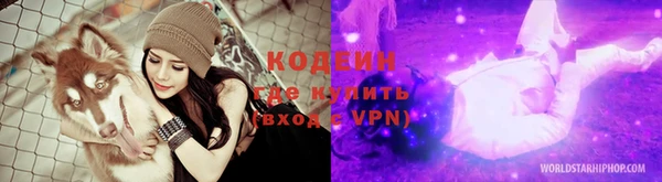 стафф Иннополис