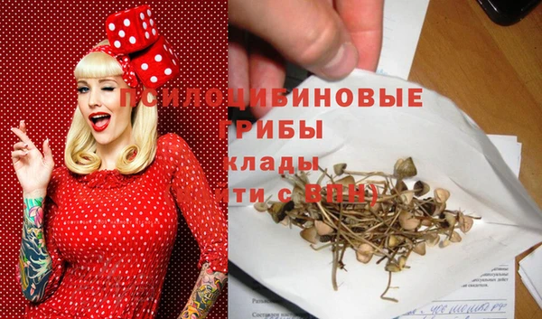 крисы Пролетарск