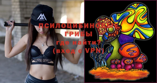 стафф Иннополис