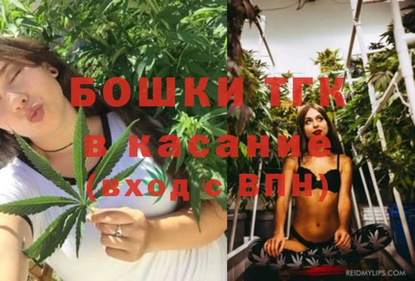 прущая мука Инта