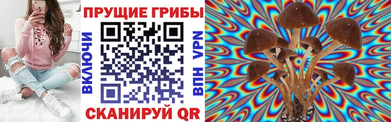 Псилоцибиновые грибы мицелий  Сольвычегодск 